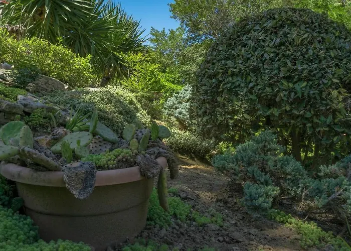 Апарт-отель Bendita Mare Золотые Пески